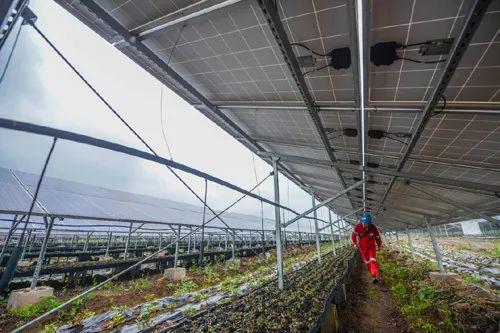 中國十三省最大光伏電站在這里！欽州康熙嶺的光伏電站能排上號了嗎？
